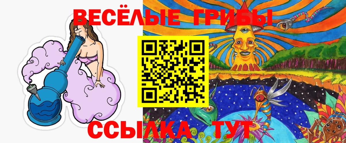 Галлюциногенные грибы прущие грибы  Вход с VPN  как найти наркотики  Новодвинск  Псилоцибиновые грибы MAGIC MUSHROOMS 