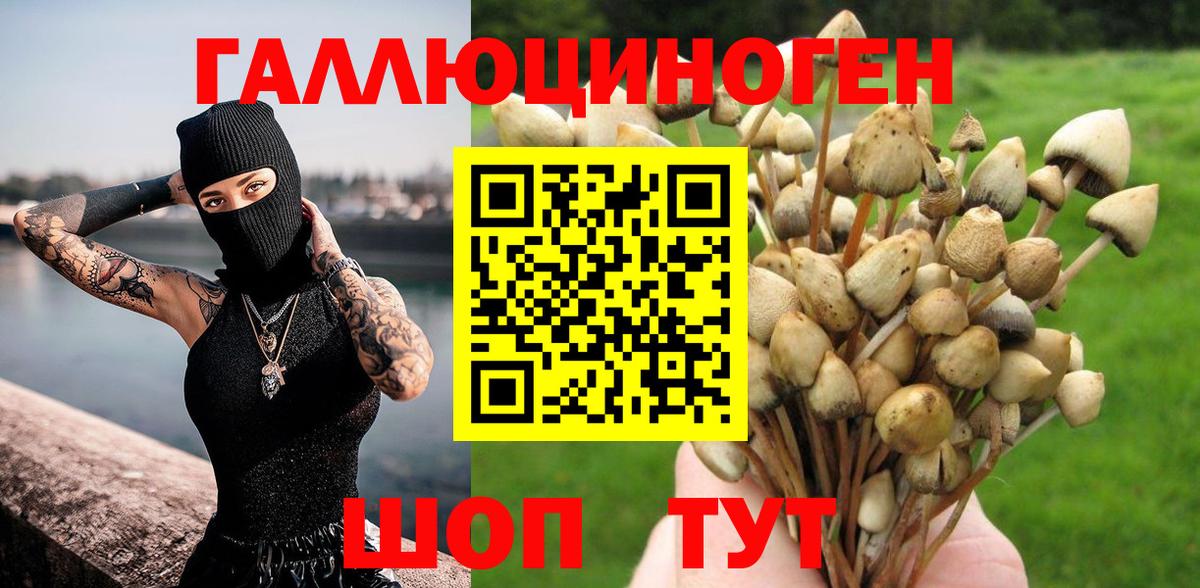 Псилоцибиновые грибы прущие грибы Новодвинск