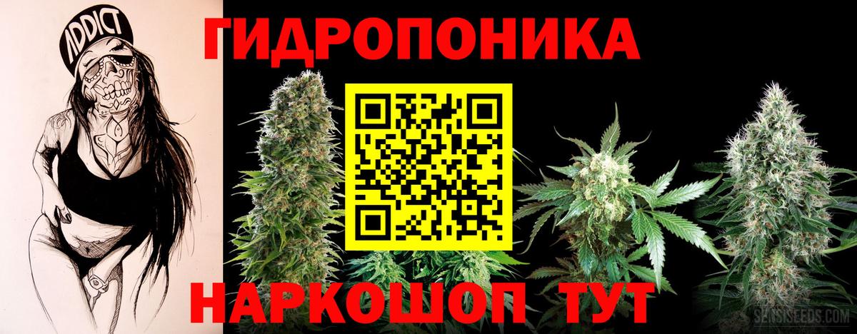Бошки Шишки AK-47  Канабис Ganja  Конопля SATIVA & INDICA  Вход с VPN  Новодвинск 